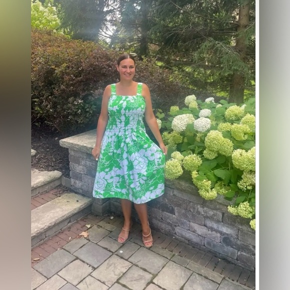 NWOT RAILS Seville Green Lotus Smocked Drop Waist Midi Dress 💚 Large - Picture 6 of 16